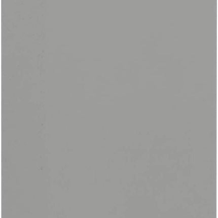 Sun-Star Stationery Sticky Notes Examy Transparent Sticky Notes Can be Written in Textbook Big Gray S2831058